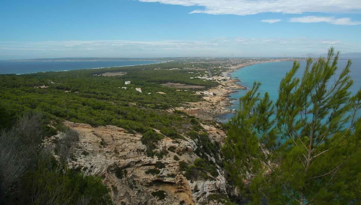 Au départ d'Ibiza : ferry et excursion guidée en bus à Formentera