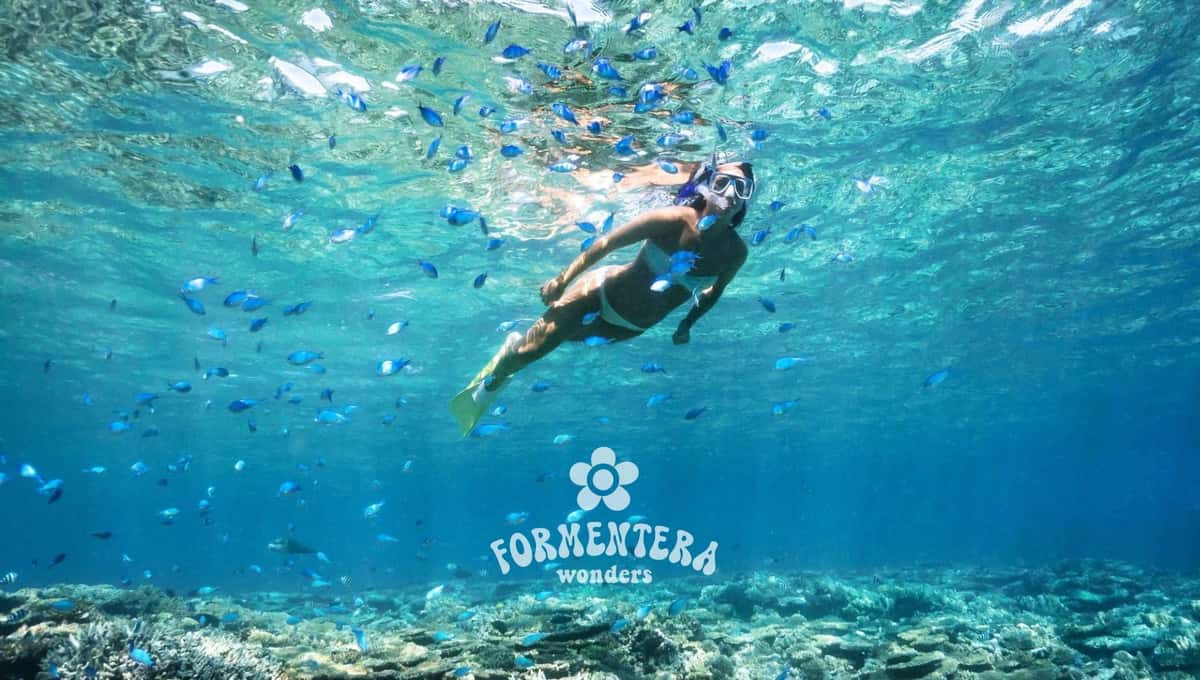 Ibiza : croisière à Formentera avec paella, open bar et sports nautiques