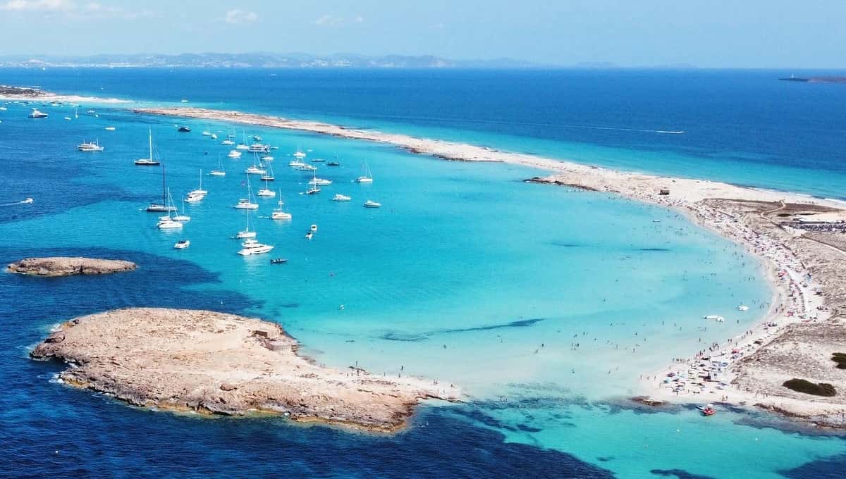 Ibiza : Transfert aller-retour de Figueretas à Formentera