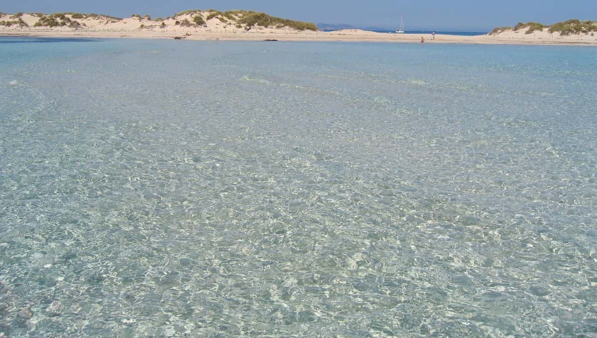 VISITE DE L'ESPALMADOR DE 9H45 À 15H45