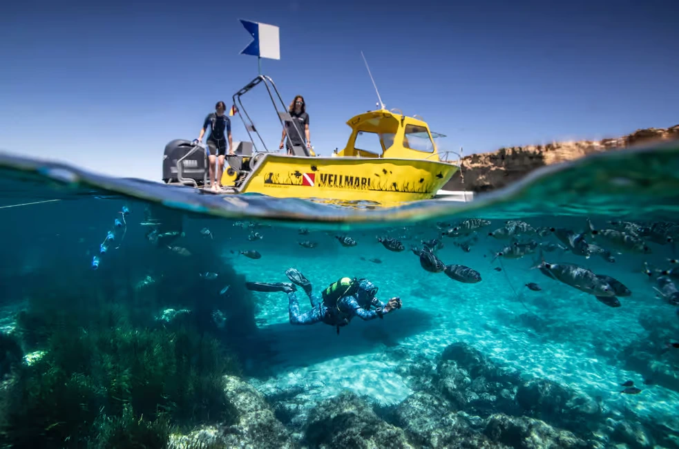 formentera plongee bateau