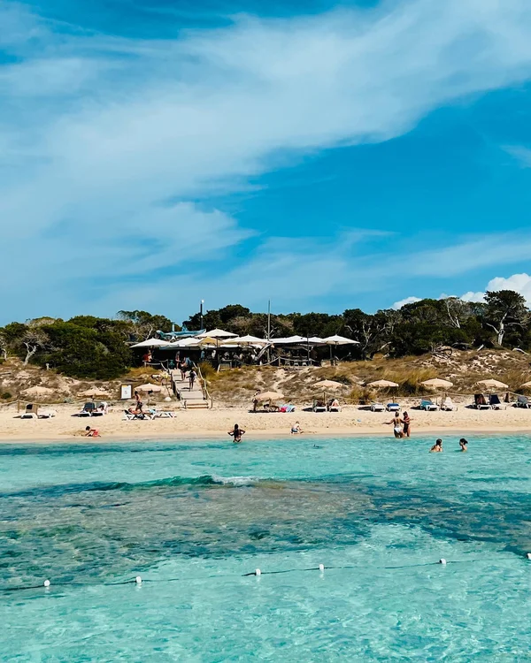 tiburon formentera Tiburón Formentera