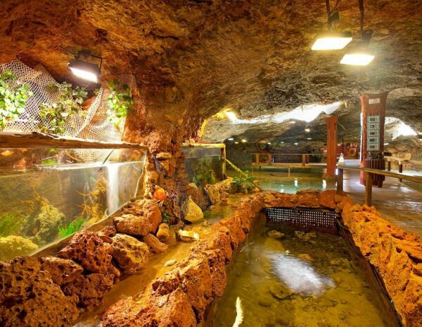 aquarium ibiza aquarium ibiza