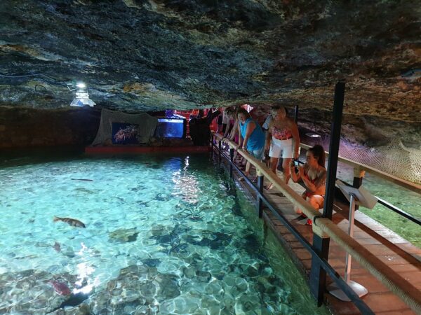 aquarium ibiza3 aquarium ibiza3