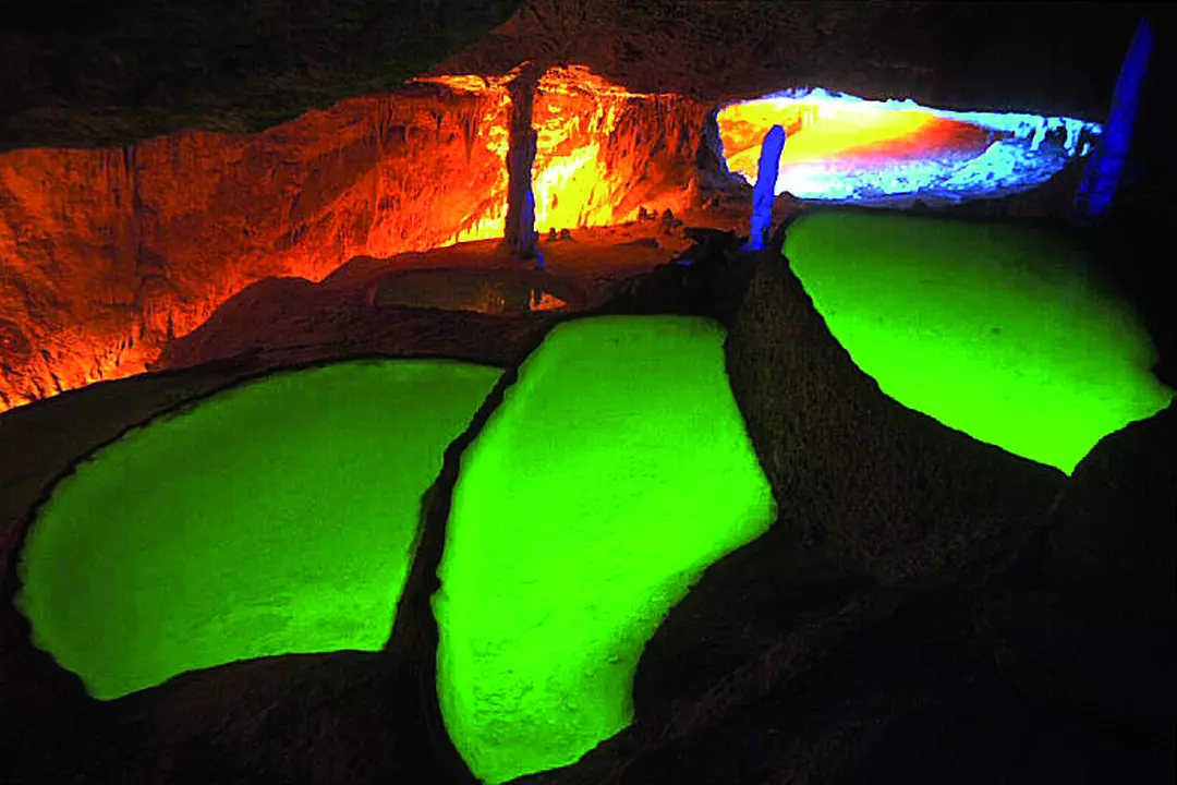 grotte can marca grotte can marca