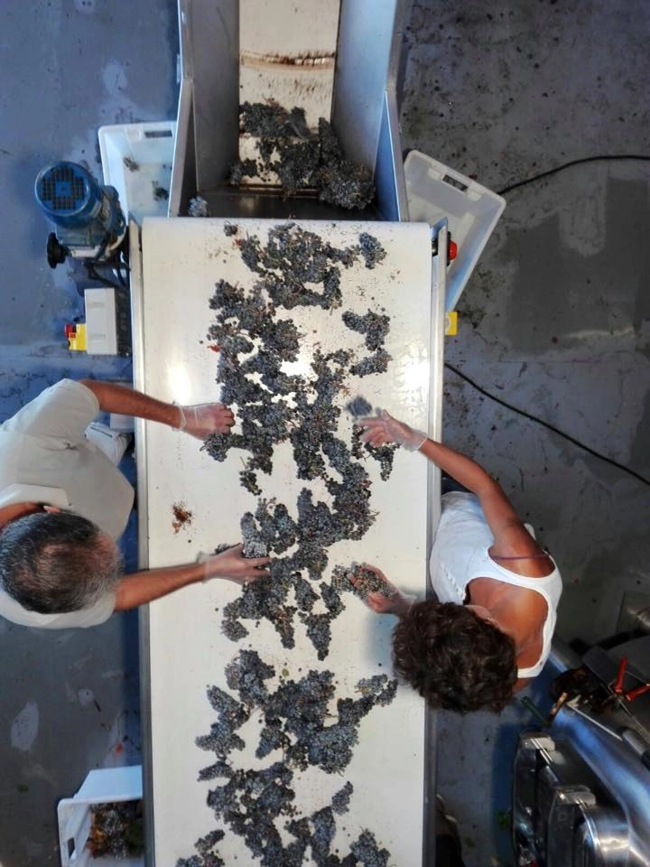 terramol bodega formentera (11)