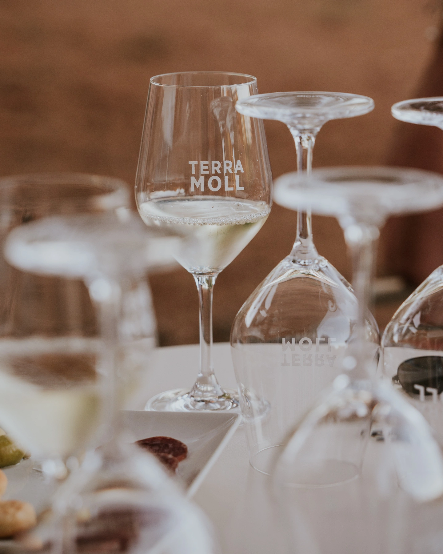terramol bodega formentera (8)