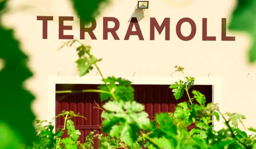 terramol bodega formetnera