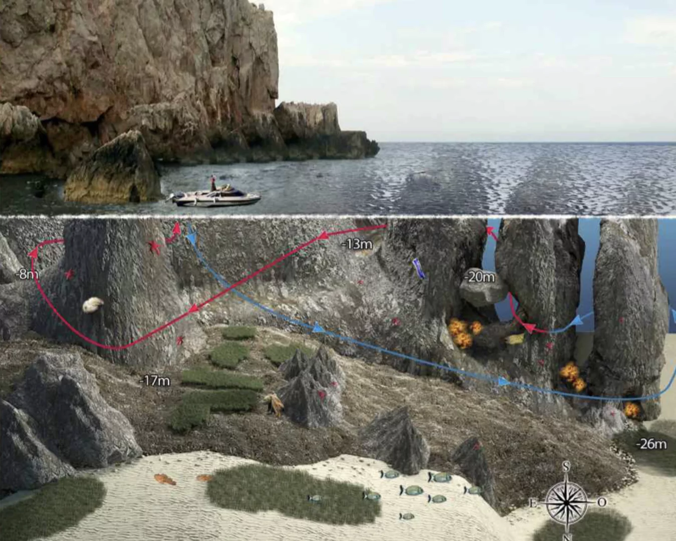 cañones de vedranell plongee padi ibiza