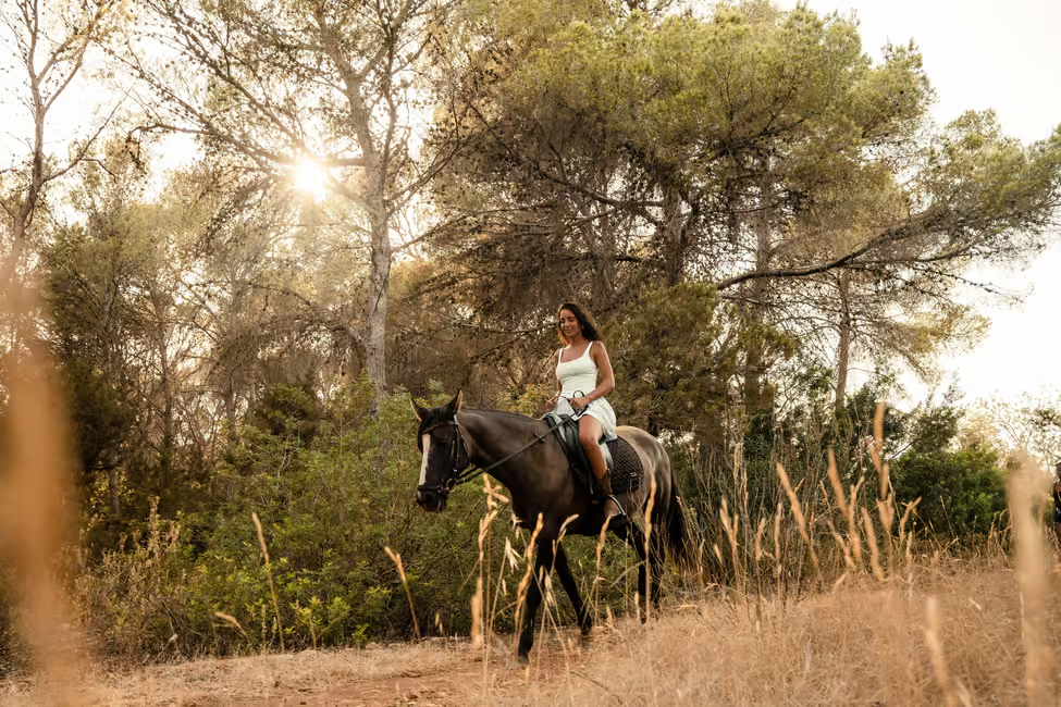 cheval ibiza cheval ibiza