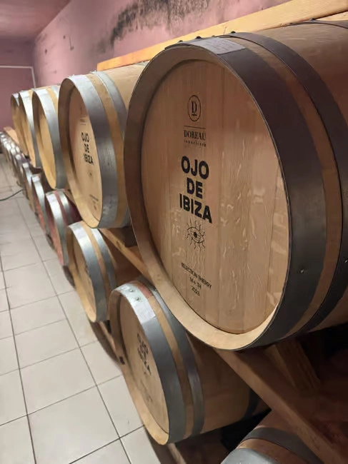 vignoble vin ibiza experience 3 vignoble vin ibiza experience