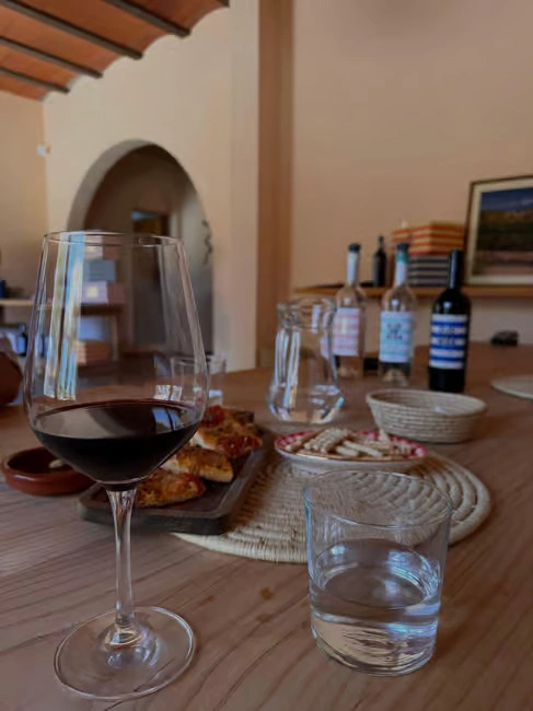 vignoble vin ibiza experience 4 vignoble vin ibiza experience
