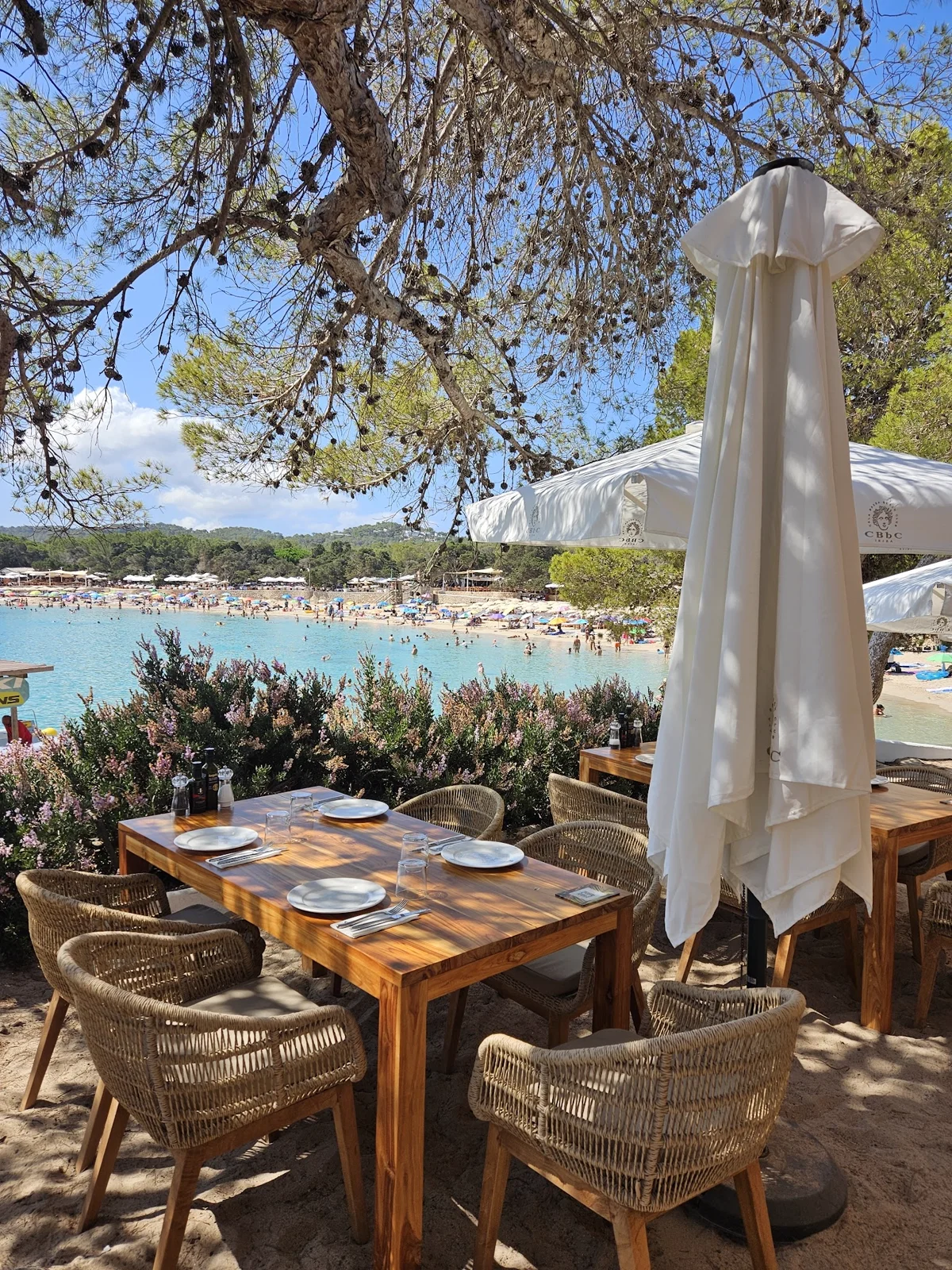 cala bassa ibiza plage 1 cala bassa ibiza plage (1)
