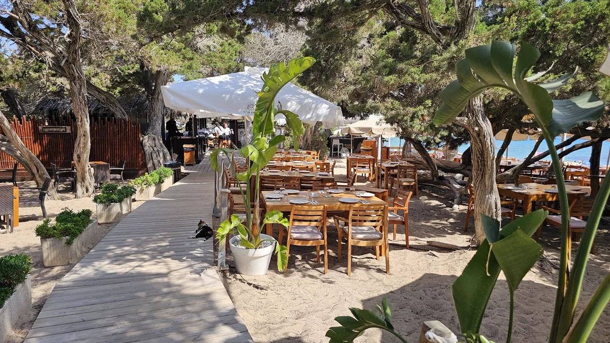 cala bassa ibiza plage 4 cala bassa ibiza plage (4)