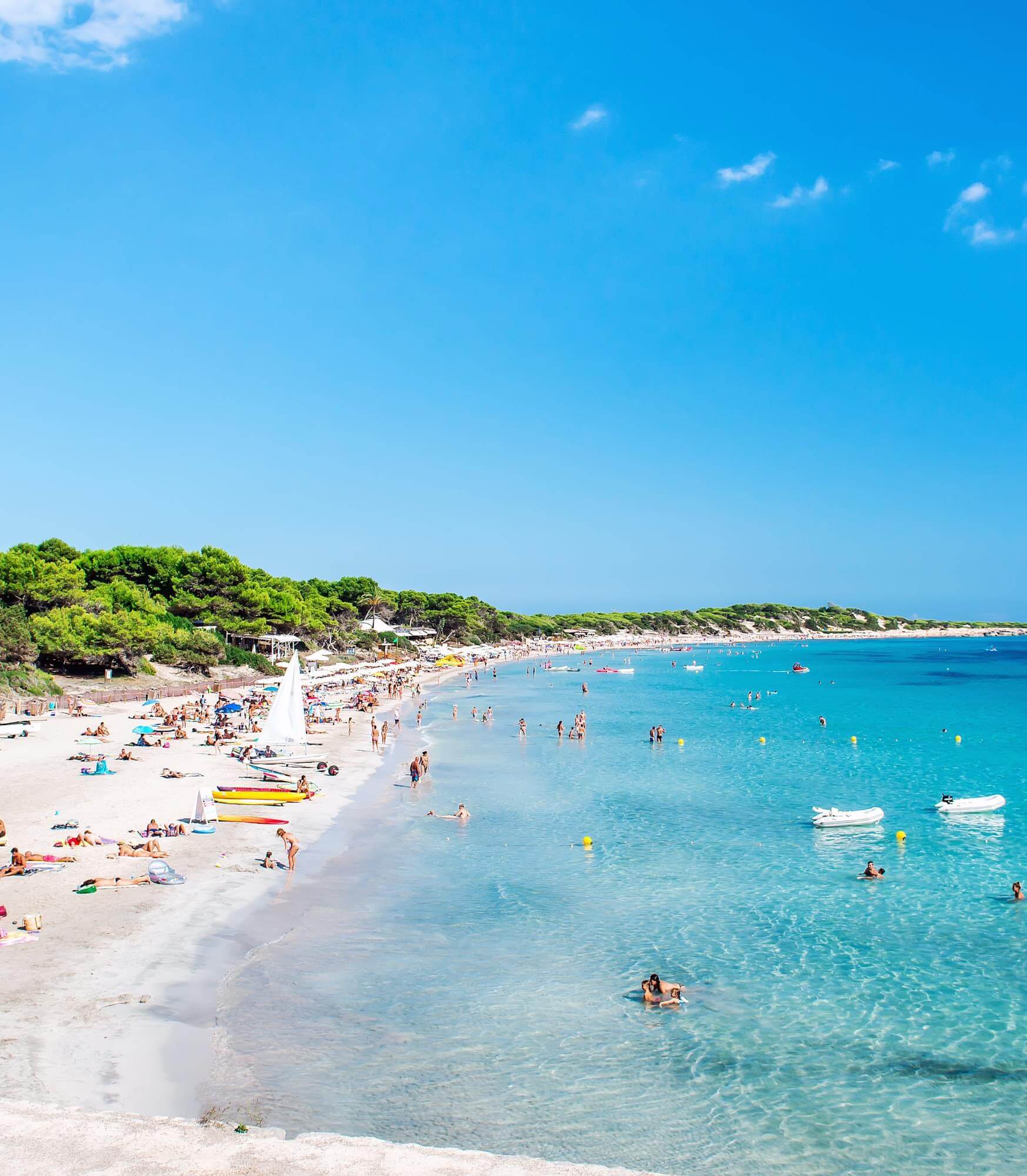 Plage de Ses Salines à Ibiza, sable blanc et pins