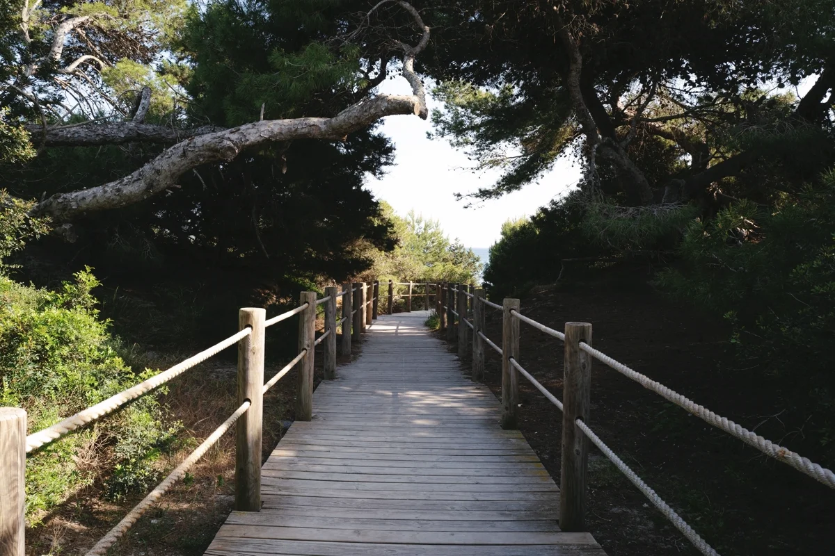 plages des salines ibiza (4)