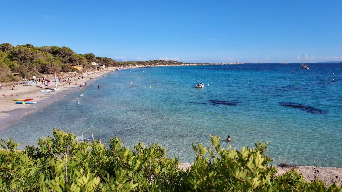 plages des salines ibiza (6)