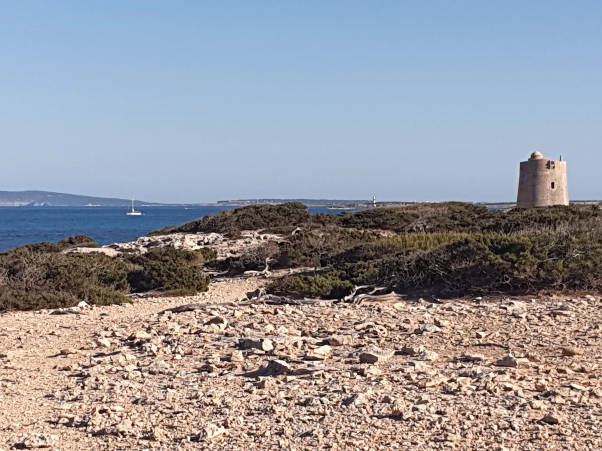 es cavallet ibiza (5)