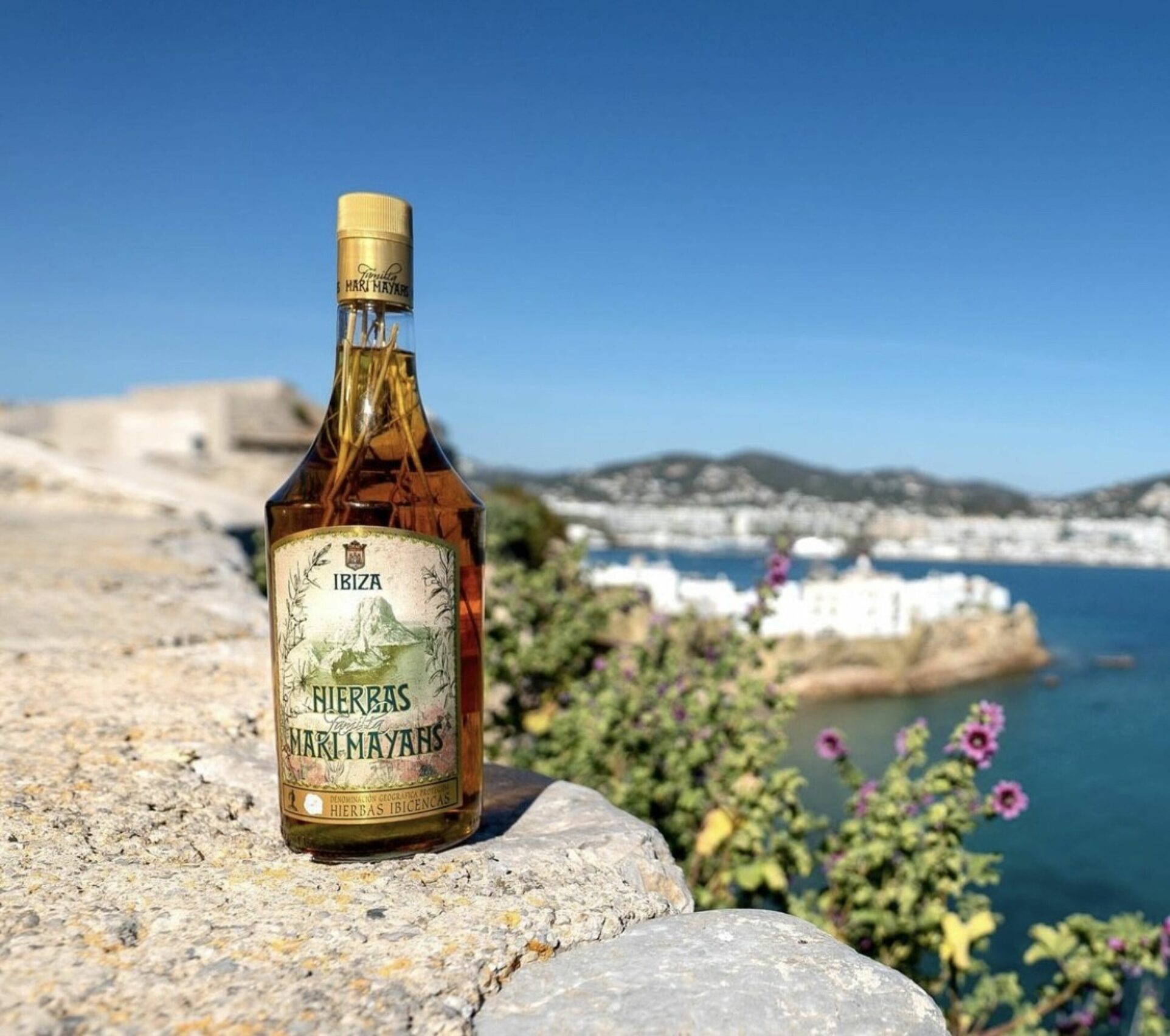 hierbas ibicencas 03