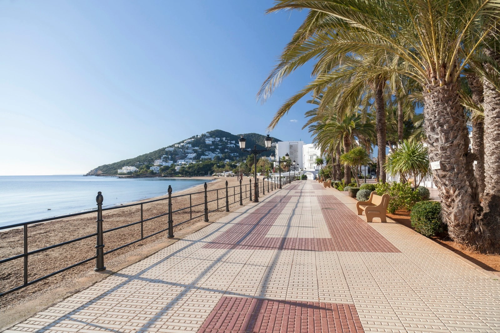 Promenade bordée de palmiers le long de la plage de Santa Eulària des Riu, Ibiza