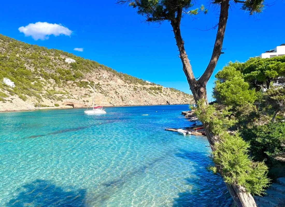 playa cala llonga ibiza (3)