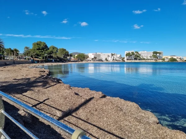 es canar ibiza 