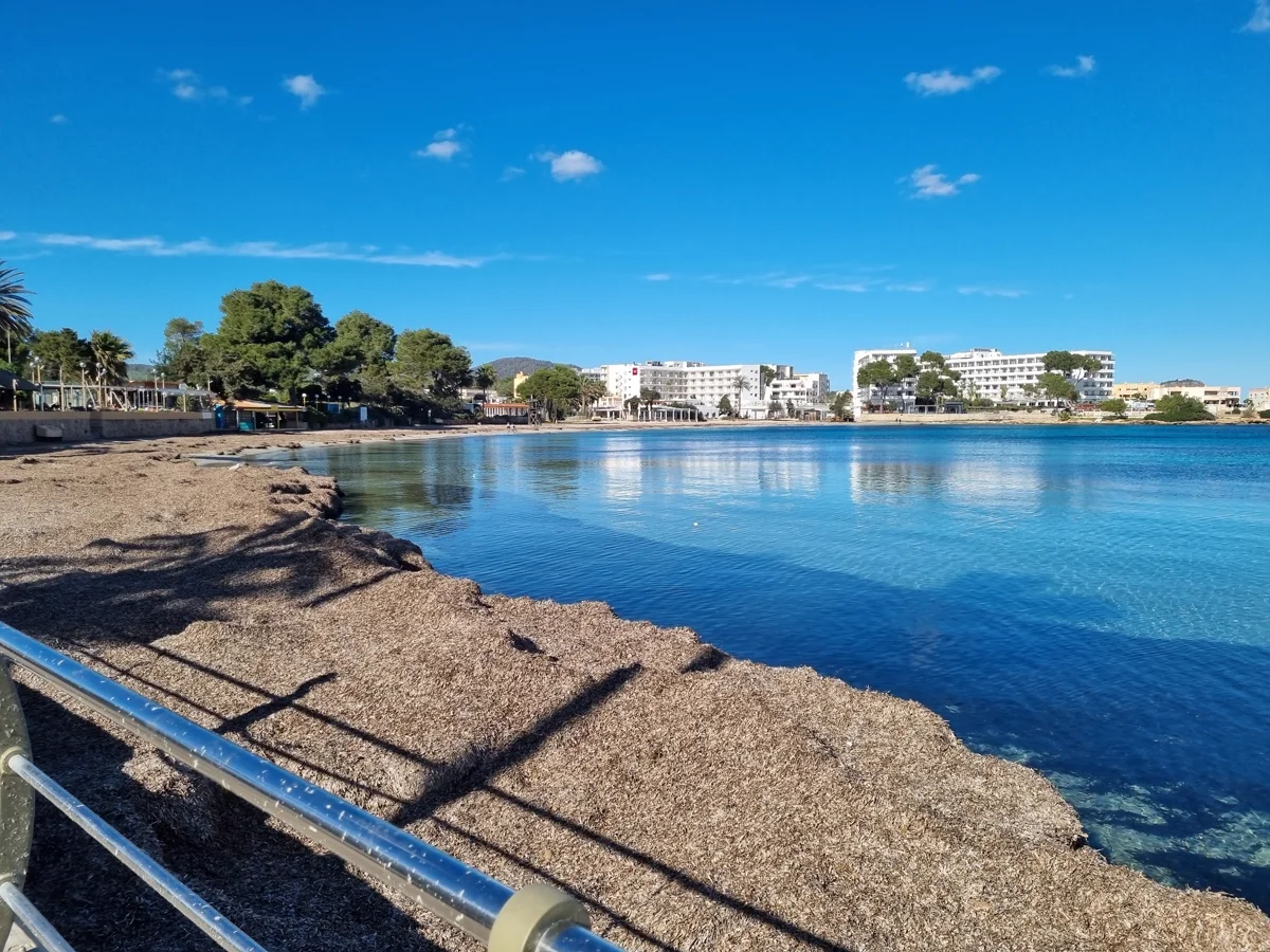 es canar ibiza (4)