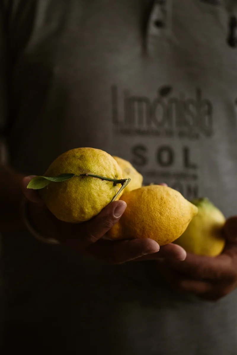 limonisla2 optimized limonisla2 optimized