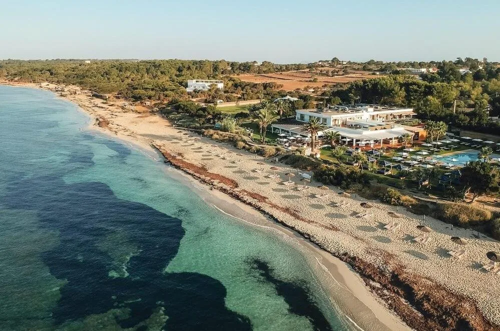 gecko hotel beach club 4 gecko hotel & beach club 4
