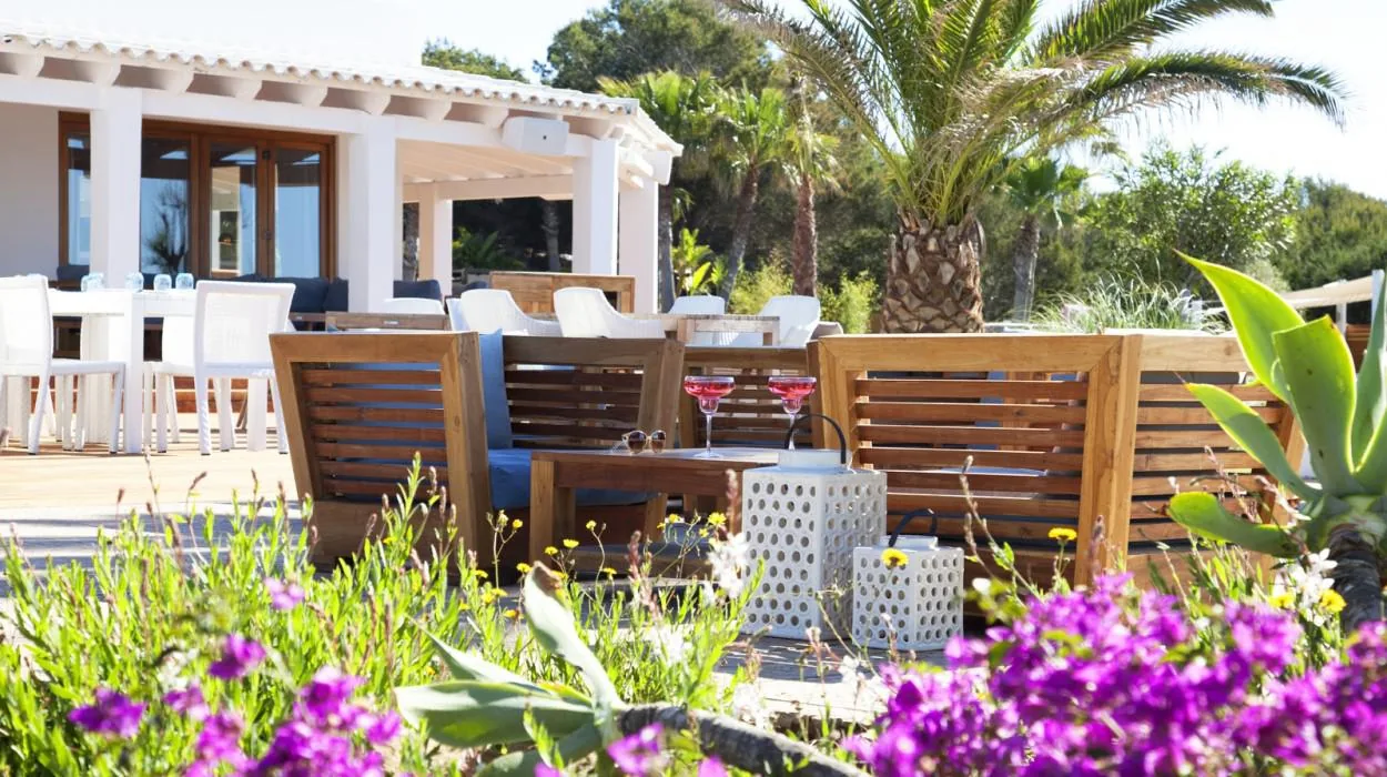 gecko hotel beach club 5 gecko hotel & beach club 5