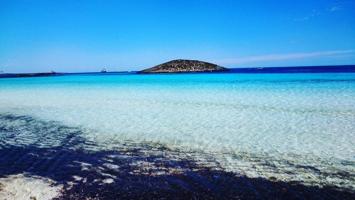 es cavall borras formentera 06