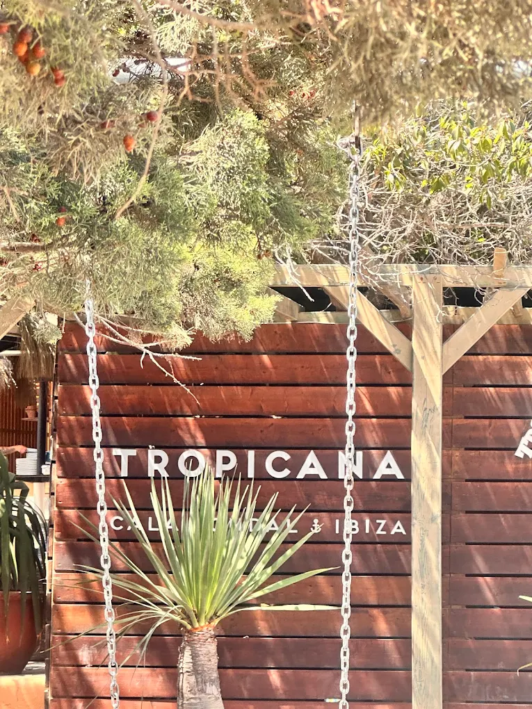 tropicana calajondal tropicana calajondal