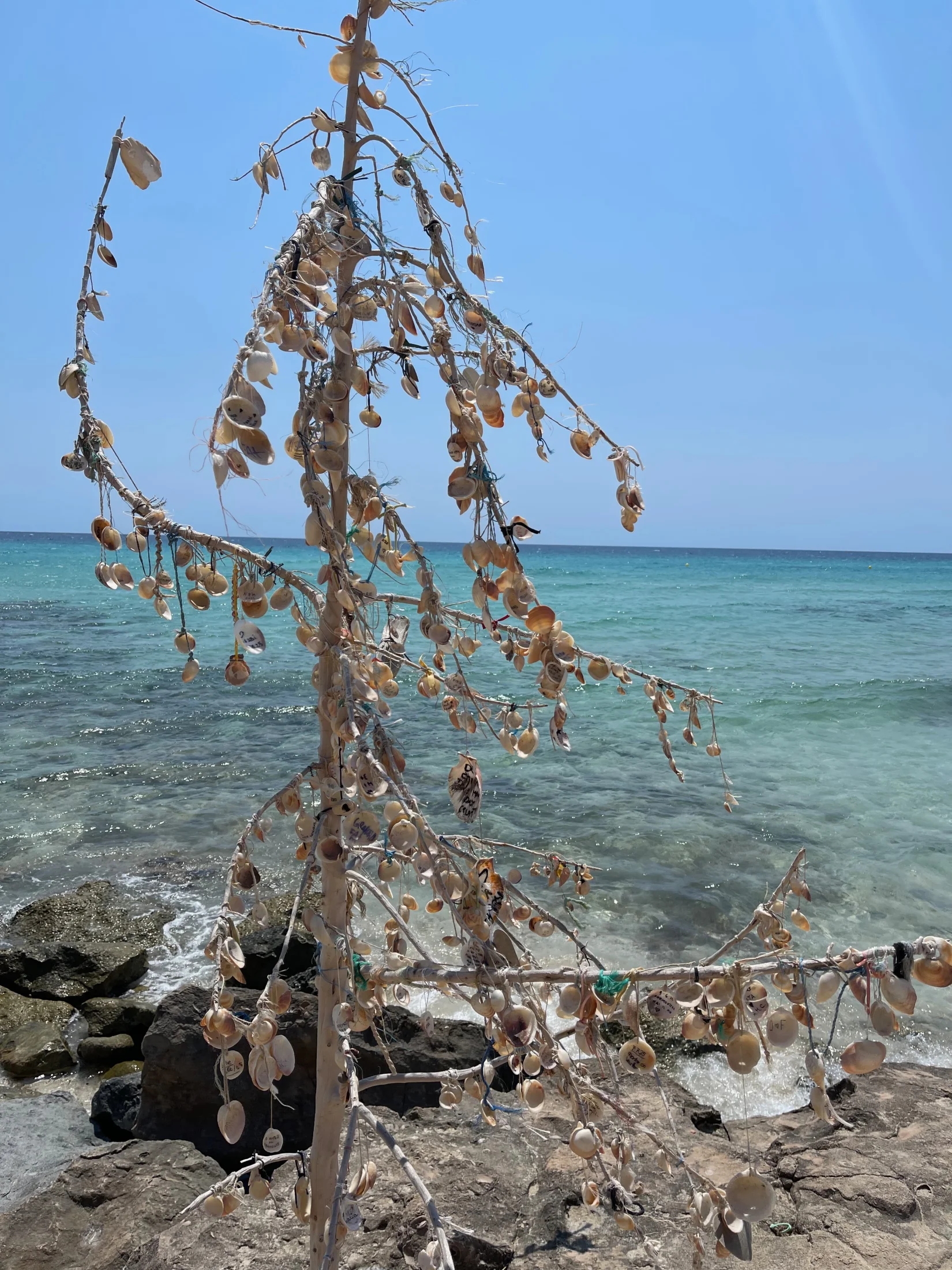 Arbre à coquillages suspendus sur les rochers face à la mer à Es Arenals, Formentera