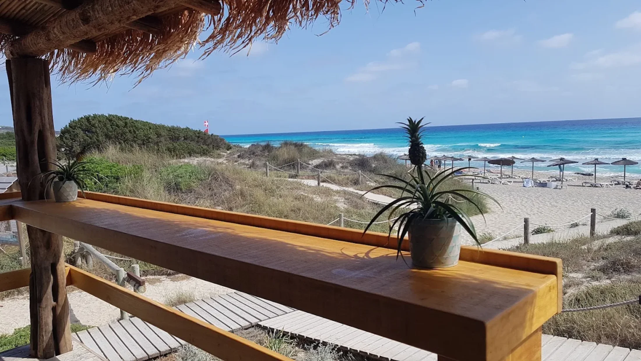 Terrasse d'un bar de plage sous toit de palmes face à la mer, Es Arenals Formentera