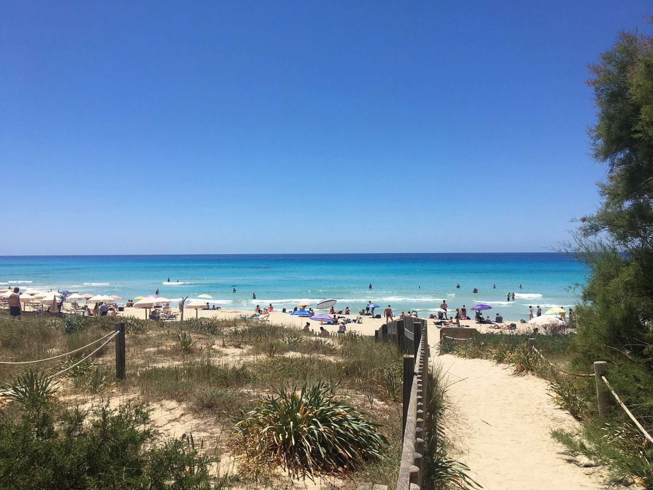 Sentier de dune menant à la plage animée d'Es Arenals à Formentera