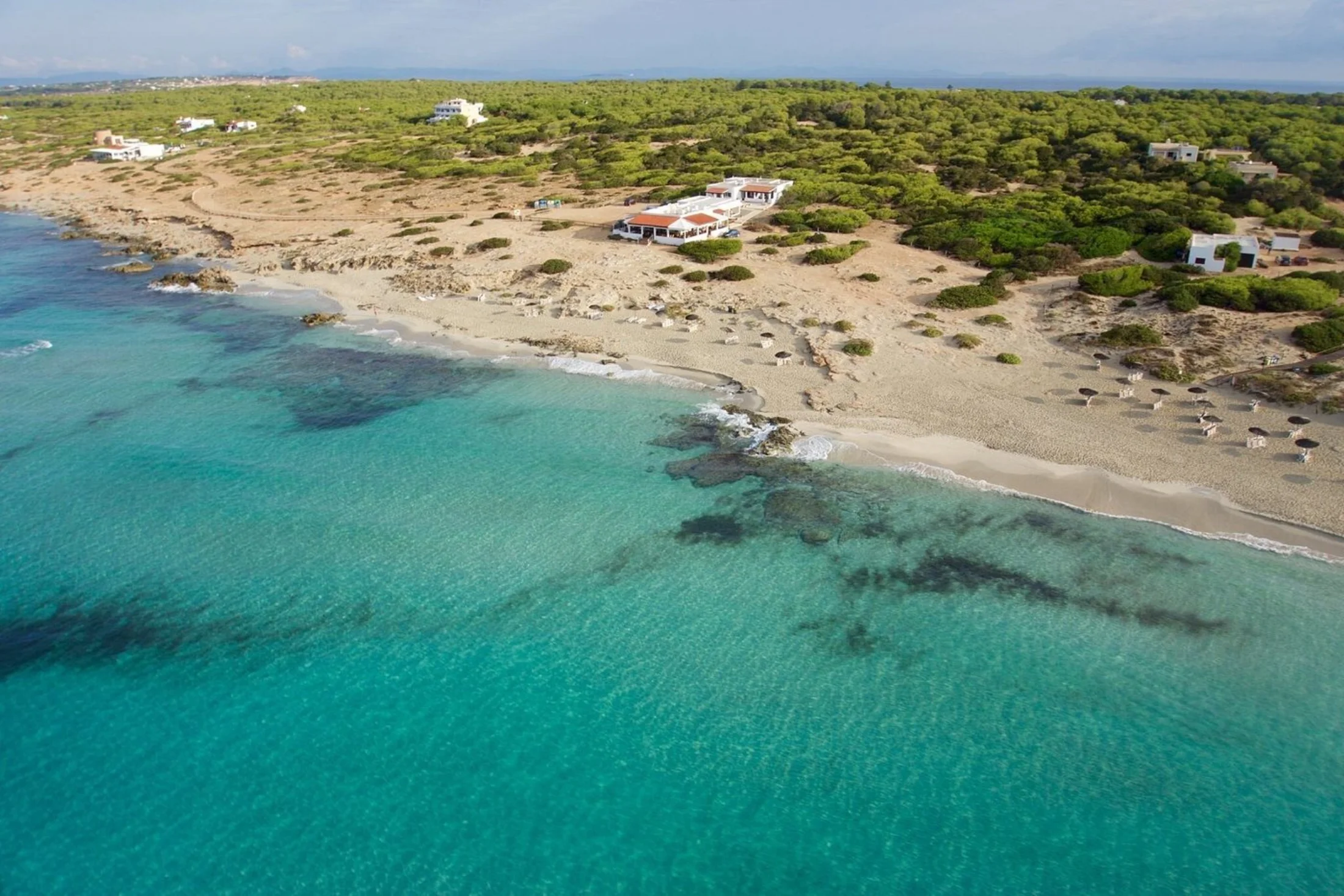 Vue aérienne d'Es Arenals à Formentera, pinède, parasols et eau turquoise