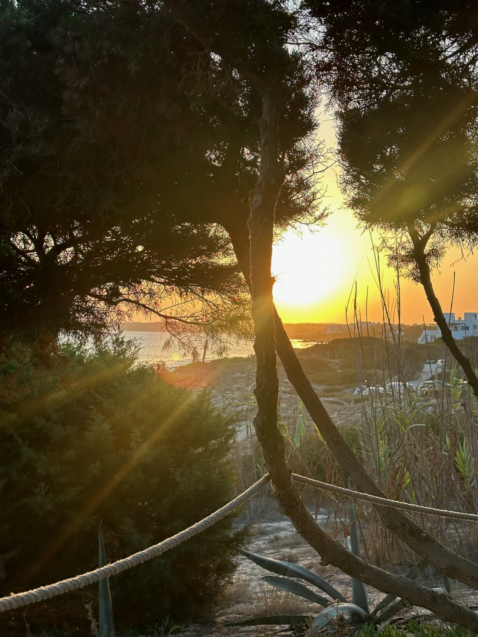 Coucher de soleil sur la mer depuis les dunes de Platja de Migjorn, Formentera