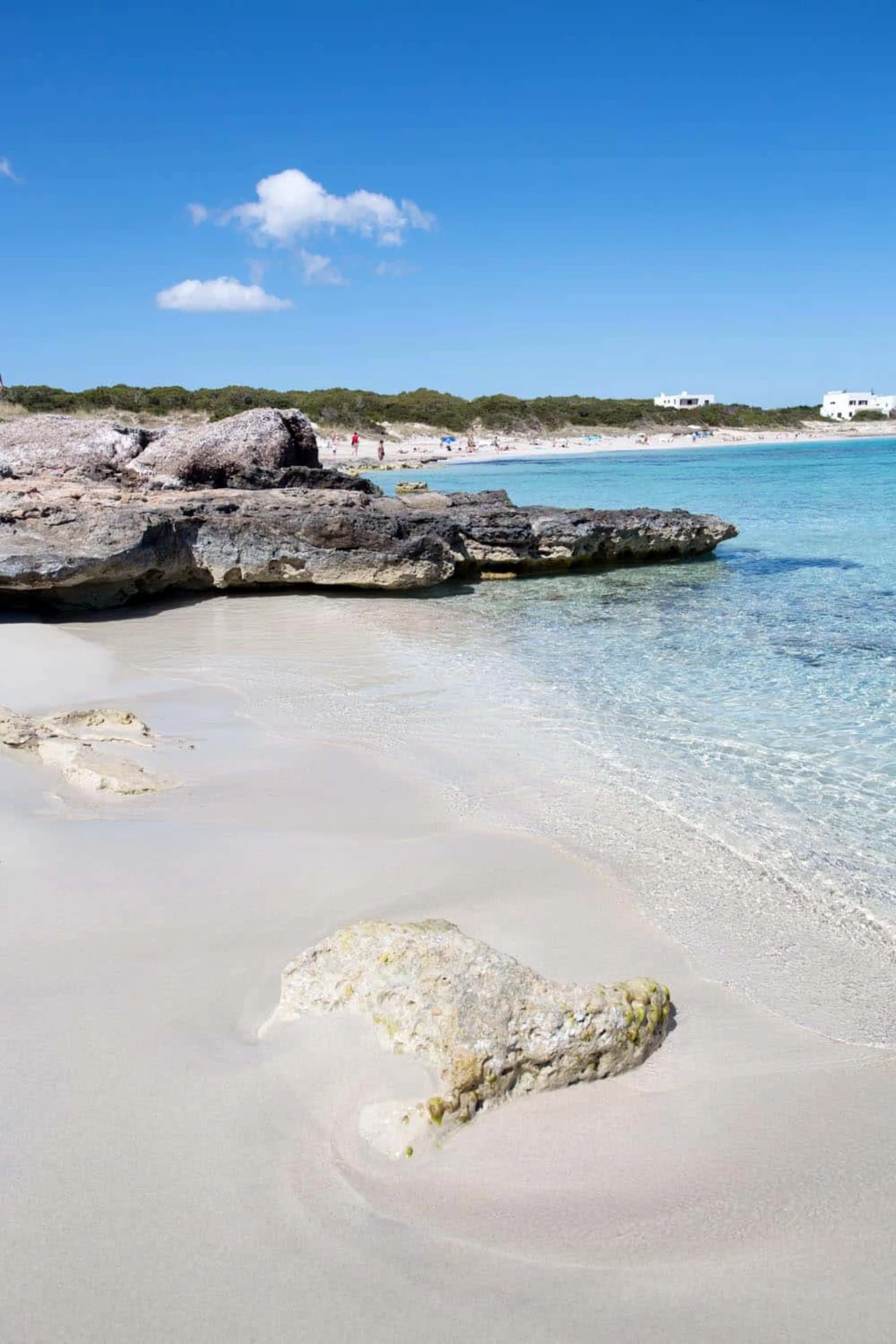 Sable blanc et eau cristalline sur Platja de ses Canyes à Formentera
