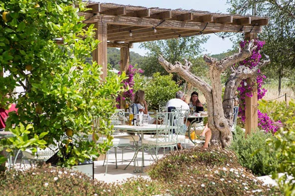 Jardin fleuri de bougainvillées au restaurant Aubergine by Atzaró