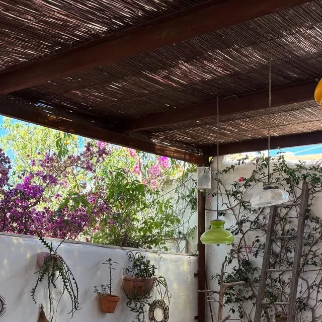 ca na pepa formentera veranda bougainvilliers Véranda sous toiture en canisses et bougainvilliers de Ca Na Pepa, Formentera