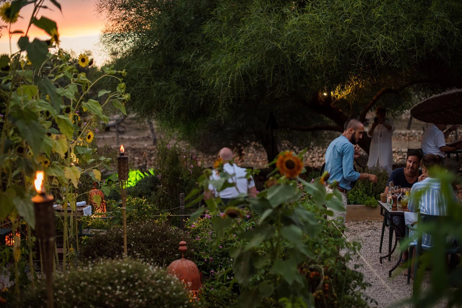 Dîner dans le jardin du Giri Café au coucher du soleil