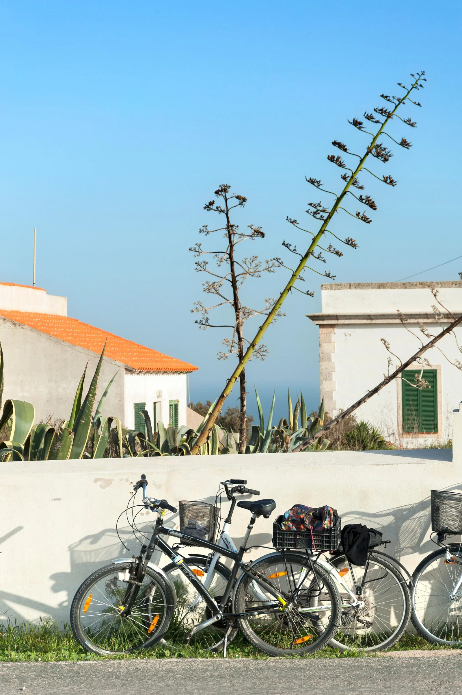 ferry velo formentera velos Vélos garés devant une maison blanche de Formentera