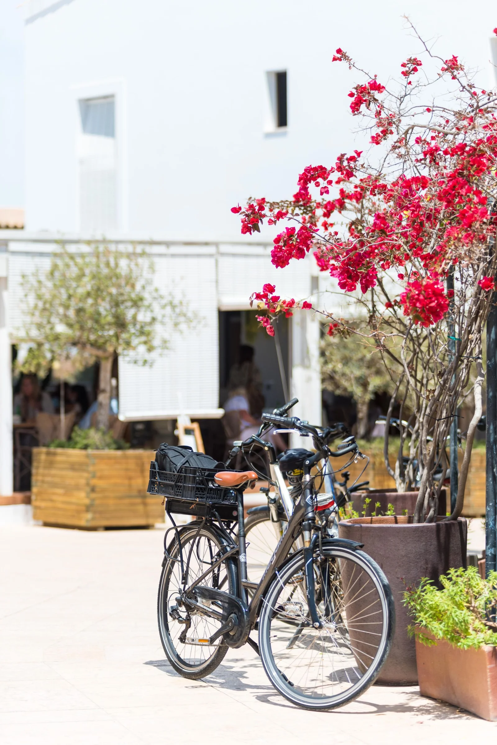 ferry velo formentera village Vélo devant une terrasse fleurie à Formentera