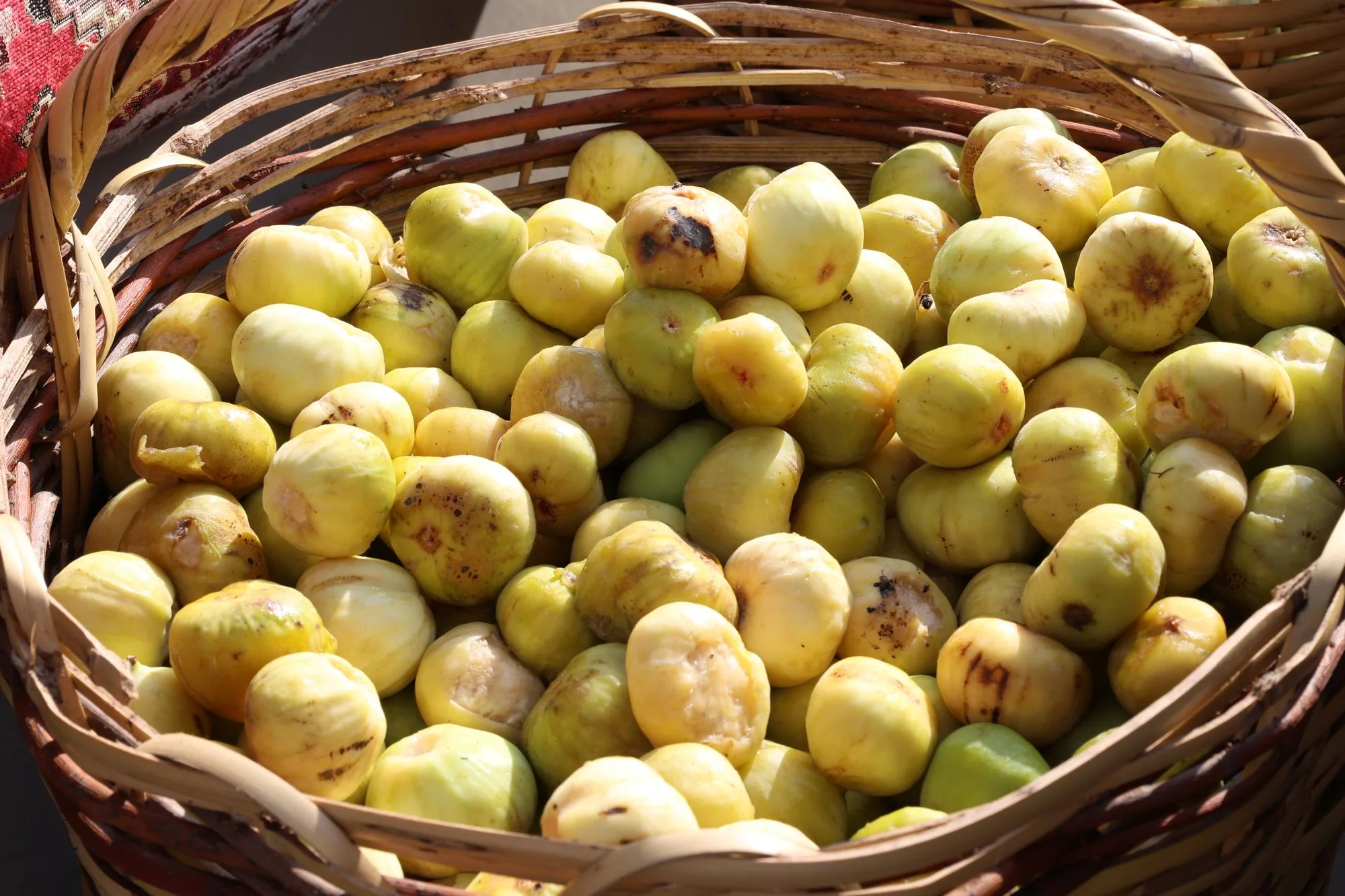 figues fraiches panier ibiza septembre Figues fraiches dans un panier en osier