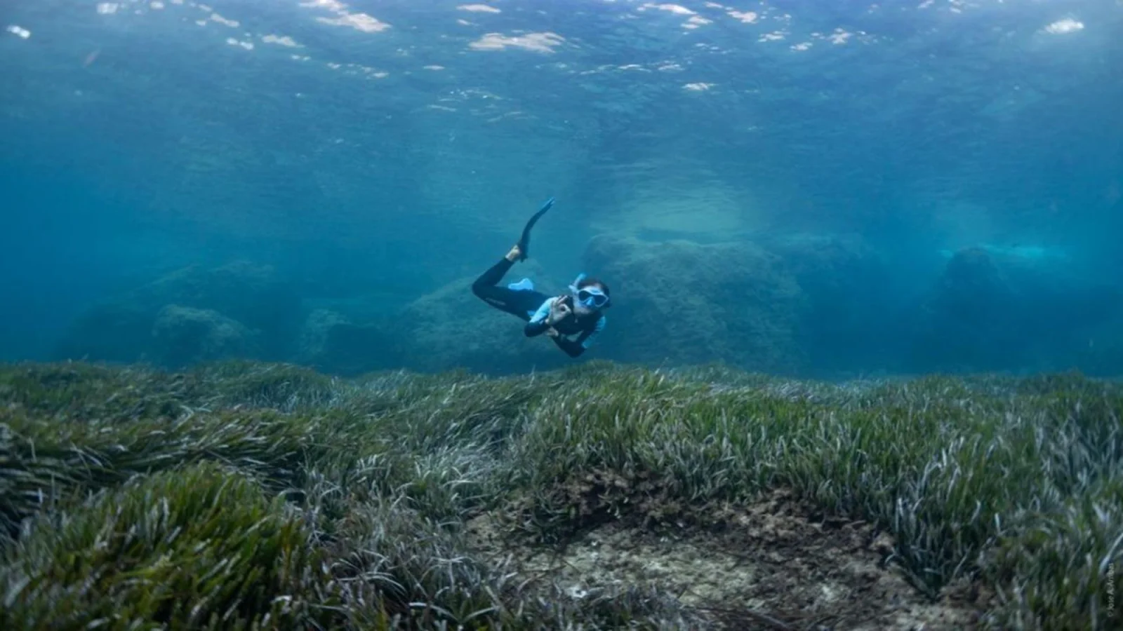 snorkeling formentera apnee Apnéiste au-dessus d'un herbier de posidonie
