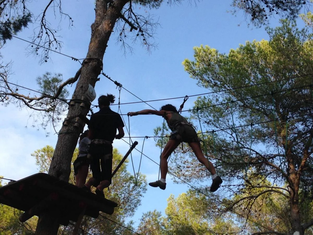 acrobosc ibiza pont de singe Pont de singe entre les pins sur un parcours en hauteur d'Acrobosc à Es Canar