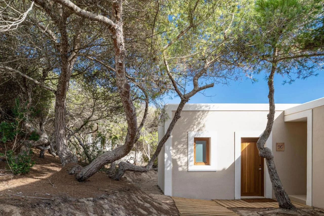 Bungalow blanc du Dunas de Formentera entre les pins