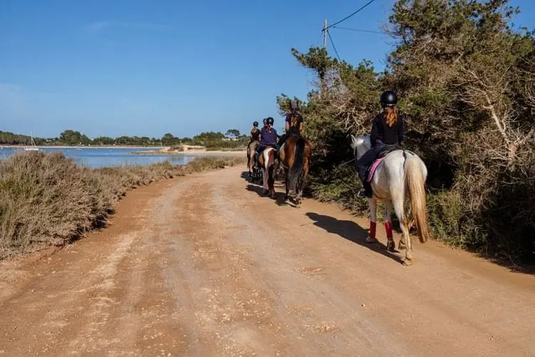 formentera cheval Balade à cheval sur un chemin de terre près des salines de Formentera