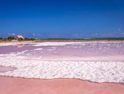 Bassins roses des salines de Formentera bordés de sel